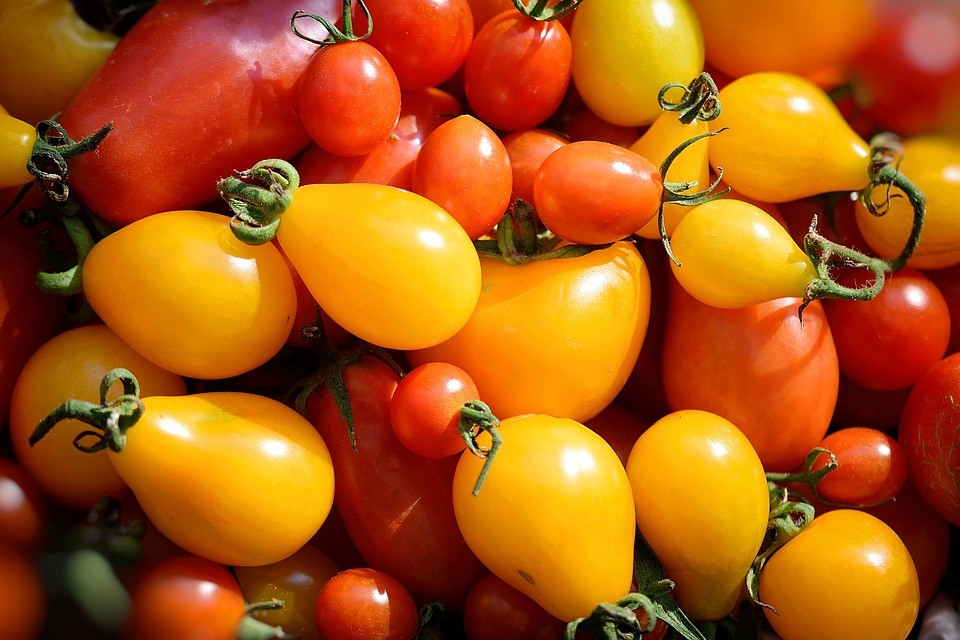 Ein Haufen Tomaten